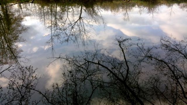 IMG_20141207_151858a