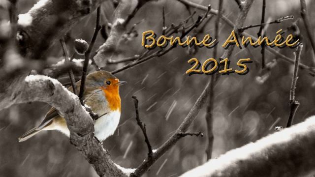 Bonne Année 2015 a